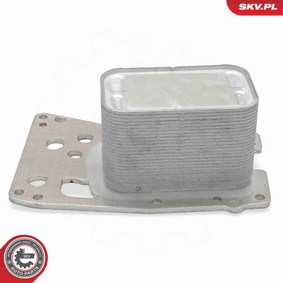 RADIATOR ULEI ULEI MOTOR ESEN SKV 31SKV378 3