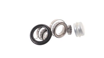 RADLAGERSATZ SKF VKBA529 24