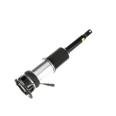 LUFTFEDERBEIN Arnott AS2966 61