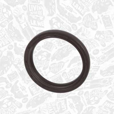 SET GARNITURI CARCASA DISTRIBUTIE ET ENGINETEAM TM0068 5