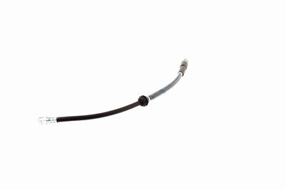 FURTUN FRANA VAICO V103078 4