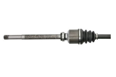 Drivaxel PASCAL G2C110PC för CITROËN