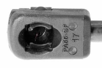 GASFEDER KOFFER-/LADERAUM VAICO V104157 1