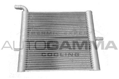 Радиатор, охлаждение двигателя AUTOGAMMA 107687 для LAND ROVER RANGE ROVER