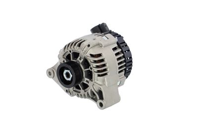 GENERATOR / ALTERNATOR REMANTE 011003000088R 65