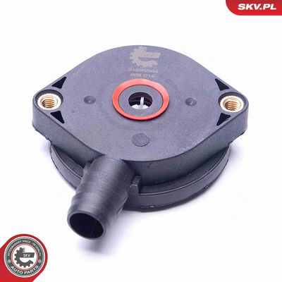 VENTIL AERISIRE CARTER ESEN SKV 31SKV064 1