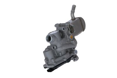 SUPAPA EGR NRF 48207 18