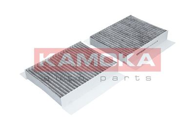 Filter, cabin air F502501