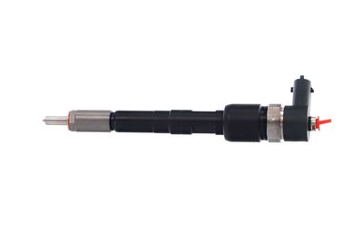 INJECTOR REMANTE 002003001717R 13