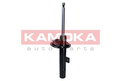 Shock Absorber 2000265