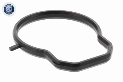 CARCASA CLAPETA ACKOJA A53810003 2