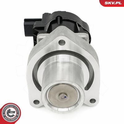 AGR-Ventil ESEN SKV 14SKV254