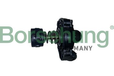 Termostat, środek chłodzący BORSEHUNG B10554