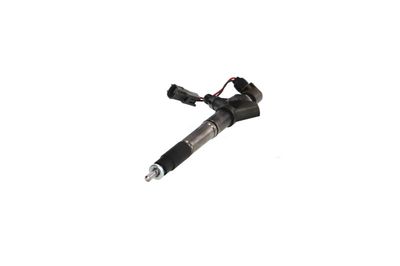 INJECTOR REMANTE 002003001324R 59