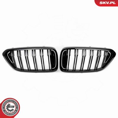 GRILA RADIATOR ESEN SKV 66SKV210 1