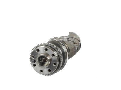 ARBORE COTIT ET ENGINETEAM HK0183 14