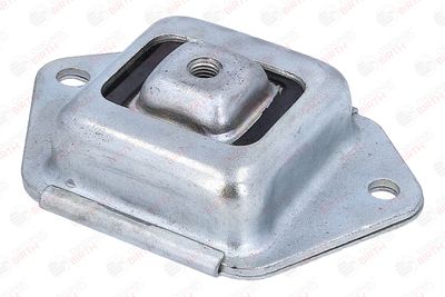 BUCSA PUNTE BIRTH 53920 8