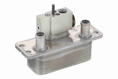 Motorradiator