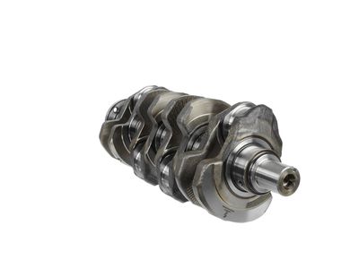 ARBORE COTIT ET ENGINETEAM HK0165 10