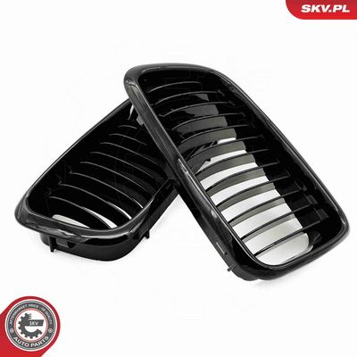 GRILA RADIATOR ESEN SKV 66SKV212 3