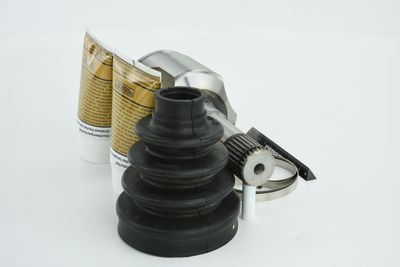 SET ARTICULATIE PLANETARA FEBEST 1011CAPLH 36