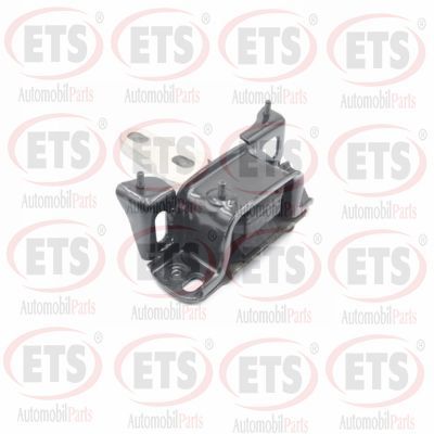 окачване, двигател ETS 06.EM.209