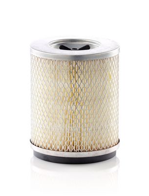 MANN-FILTER Filtras, salono oras