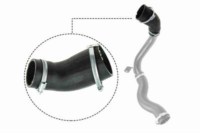 FURTUN EAR SUPRAALIMENTARE