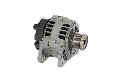 GENERATOR / ALTERNATOR REMANTE 011003000541R 49