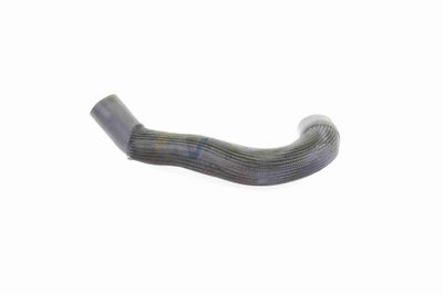 LADELUFTSCHLAUCH VAICO V103838 5