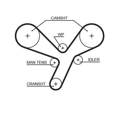 Timing Belt GATES 5643XS