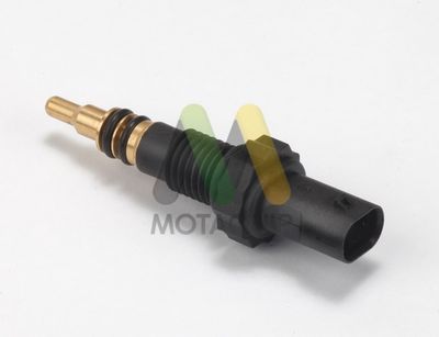 SENZOR TEMPERATURA LICHID DE RACIRE