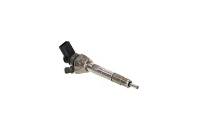INJECTOR REMANTE 002003002251R 48