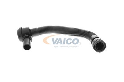 FURTUN EAR SUPRAALIMENTARE VAICO V202325 2