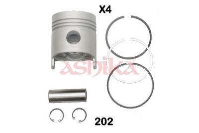 ASHIKA Kolben