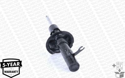 Shock Absorber G16276