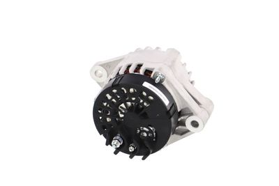 GENERATOR / ALTERNATOR REMANTE 011003000406R 33