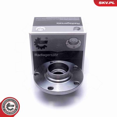 SET RULMENT ROATA ESEN SKV 29SKV436