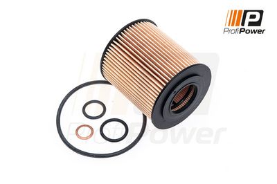 alyvos filtras 1F0063 ProfiPower
