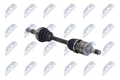 PLANETARA NTY NPWCH161 29