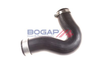 FURTUN EAR SUPRAALIMENTARE BOGAP C1711150 3