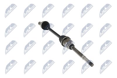 PLANETARA NTY NPWPE017 31