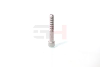 SURUB CAPAT DE AX GH GH391070 53