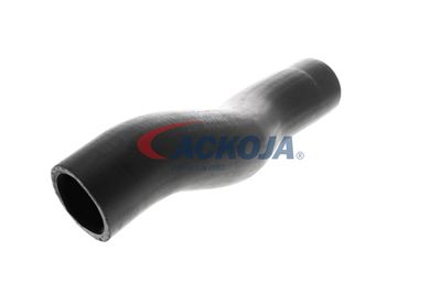 FURTUN EAR SUPRAALIMENTARE ACKOJA A529600 28