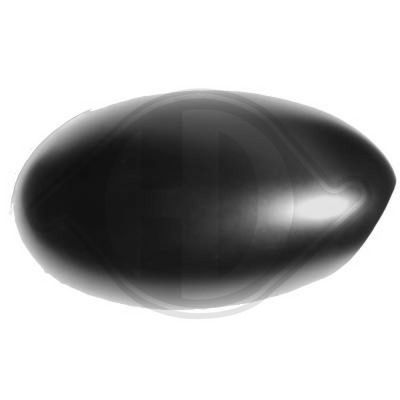 ACOPERIRE OGLINDA EXTERIOARA