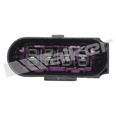 LAMBDASONDE WALKER PRODUCTS 25024966 2