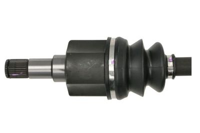 Planetara PASCAL G2V010PC