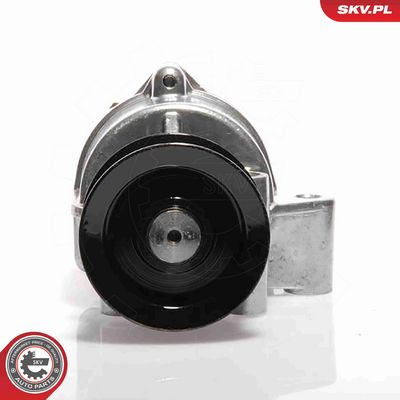POMPA VACUUM SISTEM DE FRANARE ESEN SKV 18SKV002