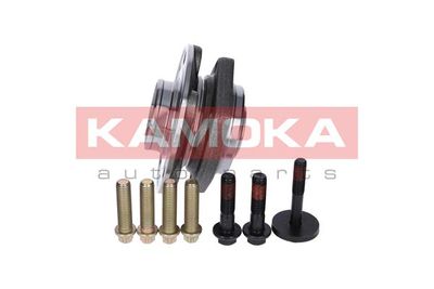 SET RULMENT ROATA KAMOKA 5500067 1