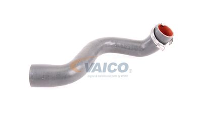 FURTUN EAR SUPRAALIMENTARE VAICO V460823 56